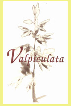 Valpiculata Crianza 2001
