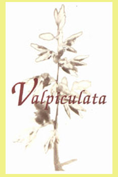 Valpiculata Crianza 2004