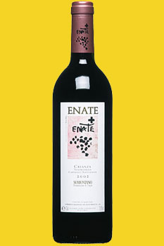 Enate Crianza 2006