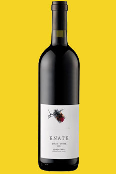 Enate Syrah-Shiraz DO 2006