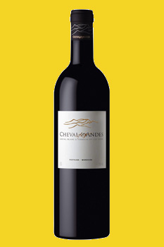 Cheval des Andes 2005