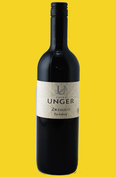 Petra Unger Zweigelt 2017